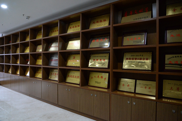 重庆一定发燃气股份有限公司2