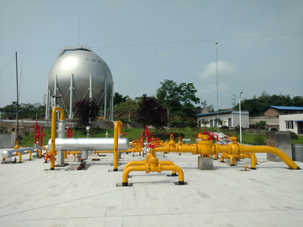 重庆一定发燃气股份有限公司5