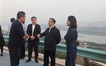 一定发董事长等到大渡口金鳌村对接工作